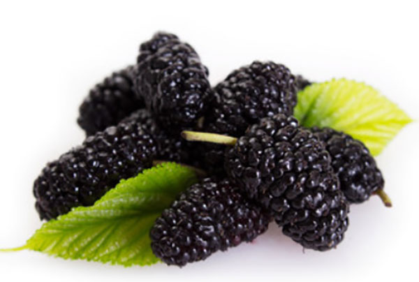 Діагностика підвищеного внутрішньочерепного тиску у дитини, причини появи і лікування